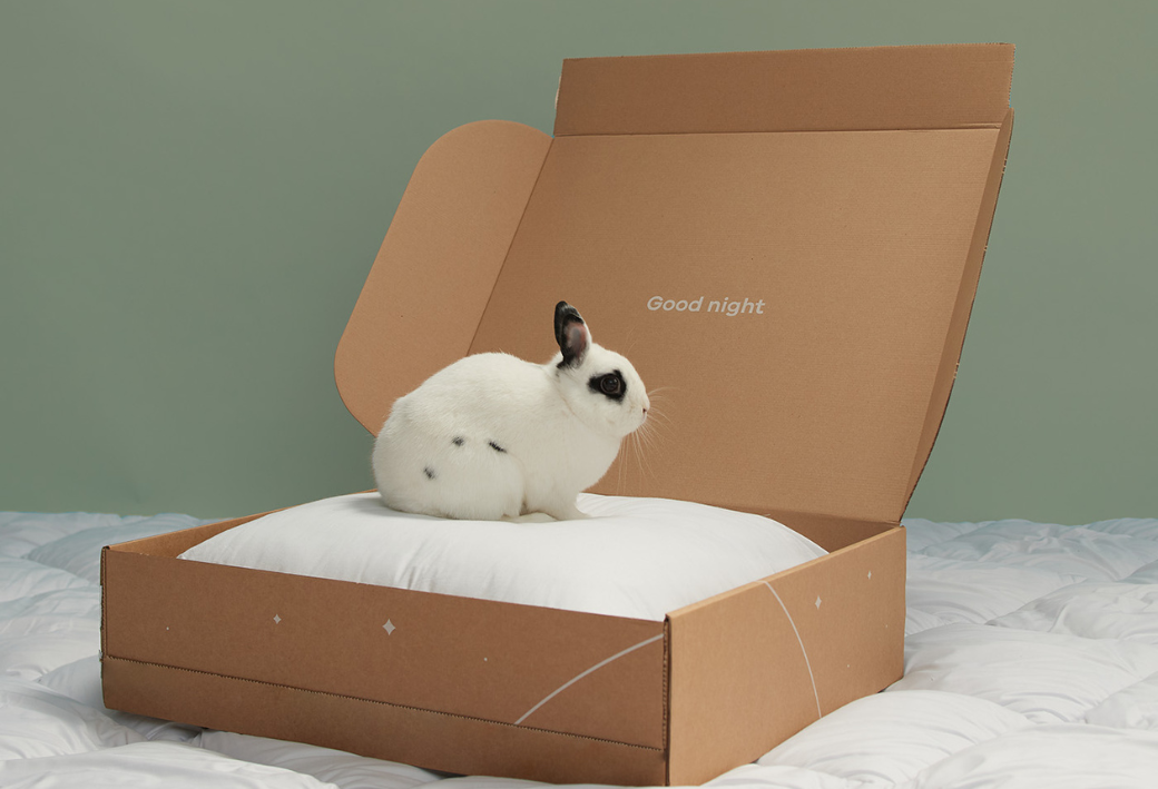 Oreiller Effet Duvet