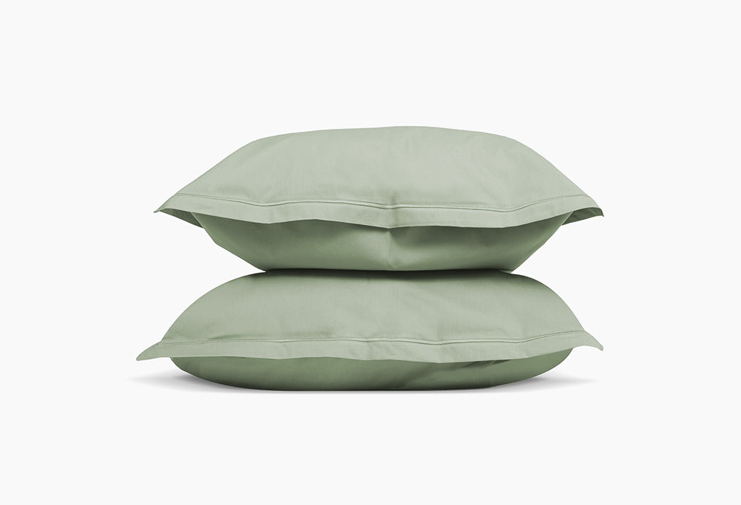 Vert sauge